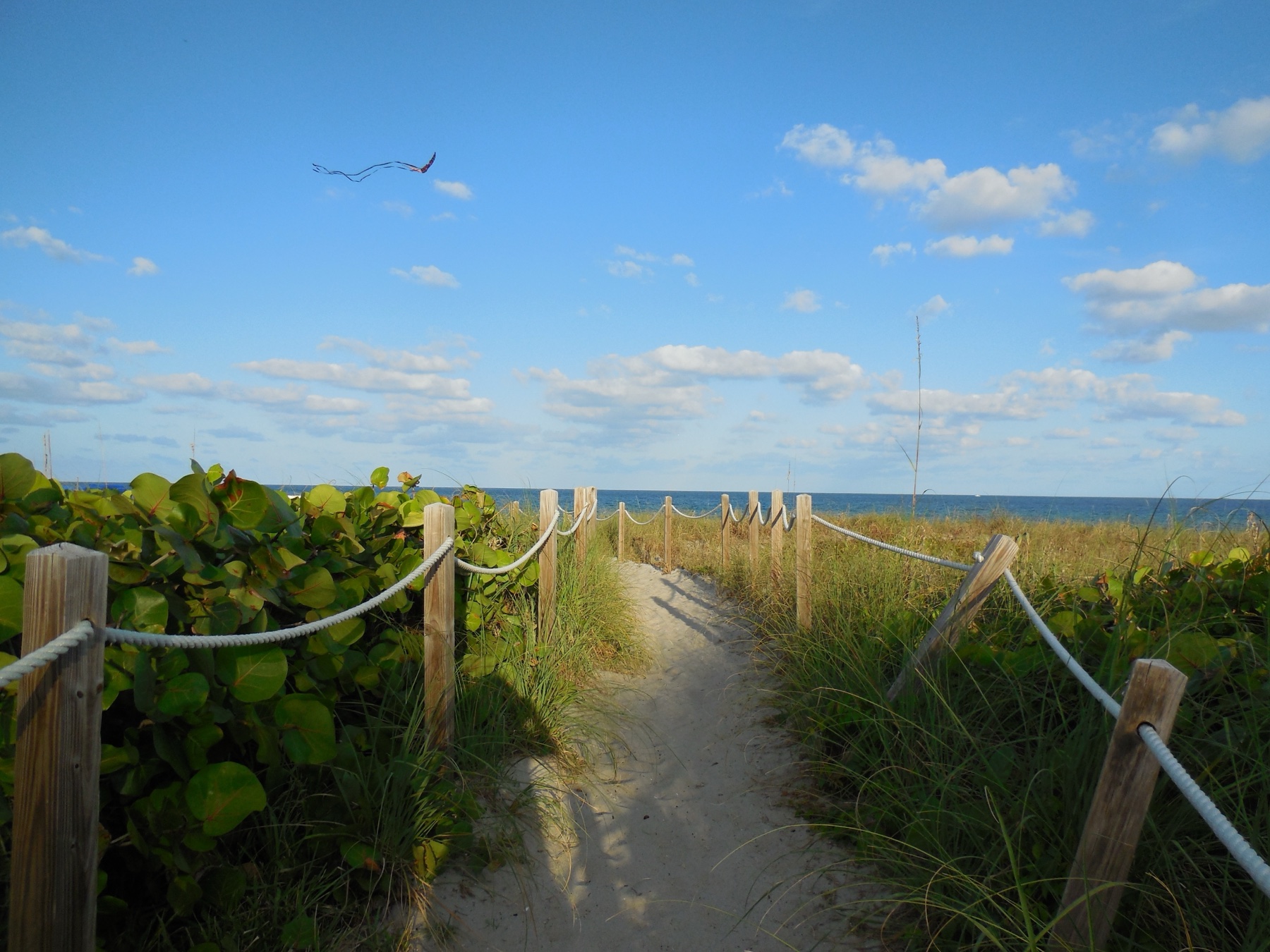 A walkway leading to the beach in Delray Beach, Florida